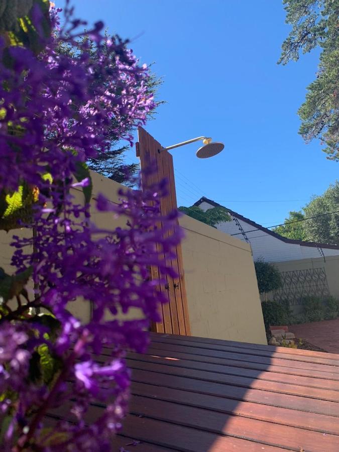 شقة Solar Powered - Heart Of Constantia2 كيب تاون المظهر الخارجي الصورة